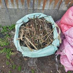 薪（幹　まき）の画像