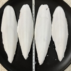 カトルボーン特大4枚　　カットルボーン　カルトボーン