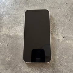 iPhone12 Pro Max