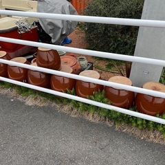 メダカ飼育　鉢　盆栽鉢