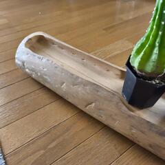 柿の木のオシャレ家具の画像