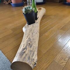 柿の木のオシャレ家具の画像