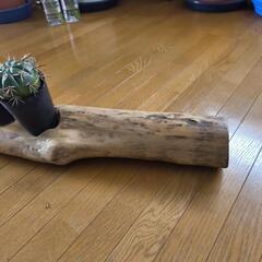 柿の木のオシャレ家具の画像
