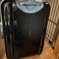 スヌーピー  キャリーケースの画像