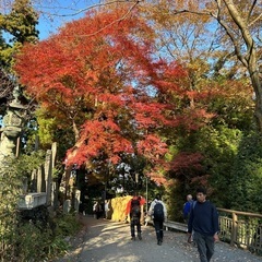 今から…吉祥寺で話ませんか❓^_^