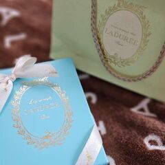値下げ【未使用】LADUREE ラデュレ　マカロンキーホルダーの画像
