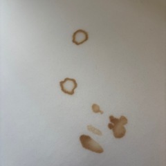 yogibo max ヨギボー　マックスの画像