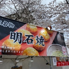 津山鶴山公園さくら祭りスタッフ募集の画像