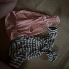 ペット服の画像