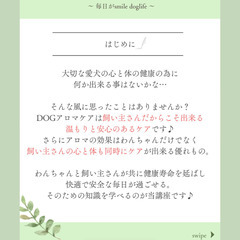 【愛犬の健康寿命をのばす🌿】ドッグアロマケア講座／オンライン開催（有料）の画像