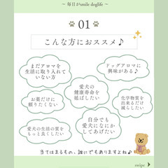 【愛犬の健康寿命をのばす🌿】ドッグアロマケア講座／オンライン開催（有料）の画像