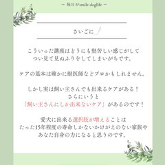 【愛犬の健康寿命をのばす🌿】ドッグアロマケア講座／オンライン開催（有料）の画像