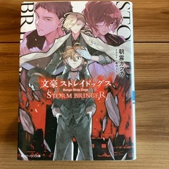 文豪ストレイドッグス 小説版の画像