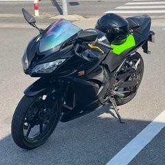 愛知県のninja250の中古が安い！激安で譲ります・無料であげます  