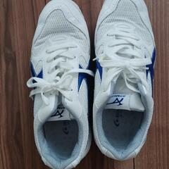 中古美品　MoonStar体育館シューズ 26.0cmの画像