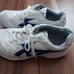 中古美品　MoonStar体育館シューズ 26.0cmの画像