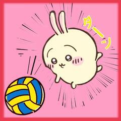 ️⭕️Rabbit🐰🏐バレー好きサークル⭕️