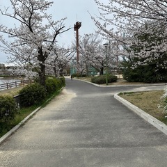 ゴルフ仲間募集(((o(*ﾟ▽ﾟ*)o)))