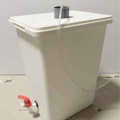 室内培養で安心　オオミジンコ 　３ｇ以上　プラス増量　大サービス中　　生き餌　産卵促進　メダカ　金魚　熱帯魚　稚魚　栄養食の画像