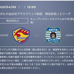 ベガルタ仙台対ブラウブリッツ秋田試合観戦チケット