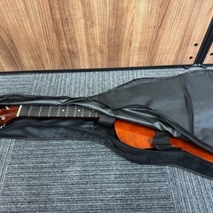 ✳︎ギターLGJT-ZS0 accoustic 中古の画像