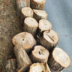 クヌギ 薪用の画像