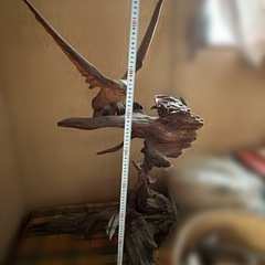 木彫り　鷹の画像