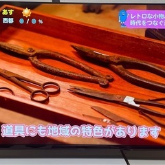 テレビ　50型　OLS50RD10