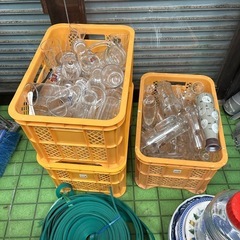 ジョッキやグラスの画像