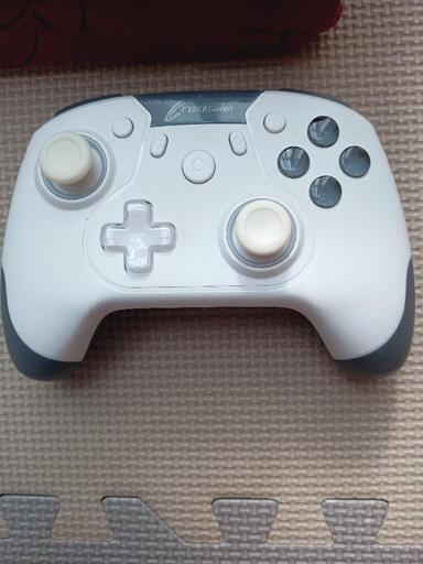 Switch専用コントローラー