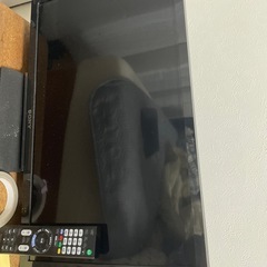 テレビの画像
