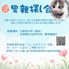 保護猫の里親探し会（譲渡会） 石巻市