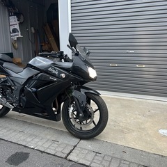 カワサキ NINJA250 抹消車両