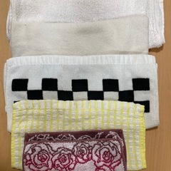 保護猫さんに中古シーツ、タオルなど差し上げます。の画像