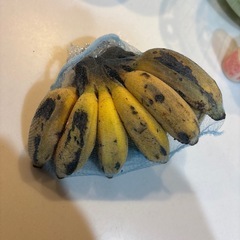 島バナナ③