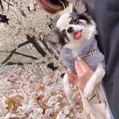 犬友さん🎵