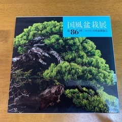 盆栽、国風盆栽展写真帳の画像