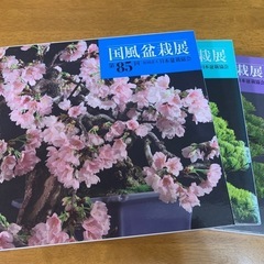 盆栽、国風盆栽展写真帳