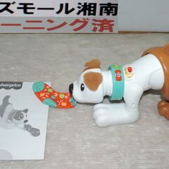 ベビー・子供用品買取販売キッズモール湘南/バイリンガル・パピー/６～３６カ月/日本語と英語/追いかけっこの画像