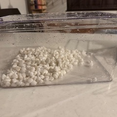 メダカ　ケース　