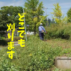 竹林伐採や管理地等の草刈り引き受けます - 都城市