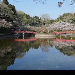 茂原公園関東グルメフェスター
