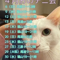 ４月おのテニ会（尾道ソフトテニスの会）2025 - 尾道市