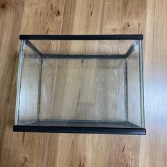 水槽30cmの画像