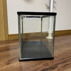 水槽30cmの画像