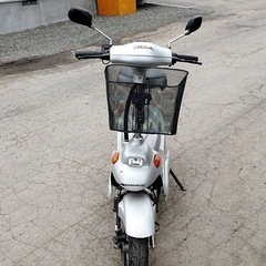 特定小型原動機自転車❗️ナンバー取得済み❗️