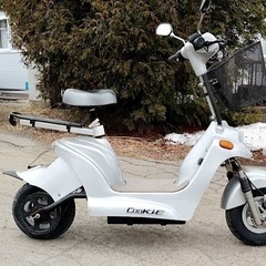 特定小型原動機自転車❗️ナンバー取得済み❗️の画像