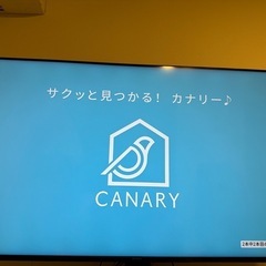 SONY 55インチ 液晶テレビ 4K