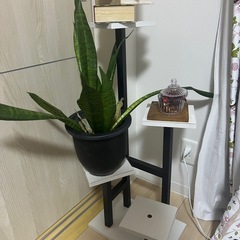 【最終値下げ】タワー型物置