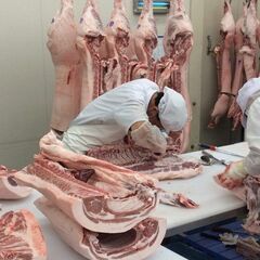 <<土日休み ＆ 完全日勤>>  8:00~15:30 / 賞与2回 / 未経験OK（食肉加工）       の画像